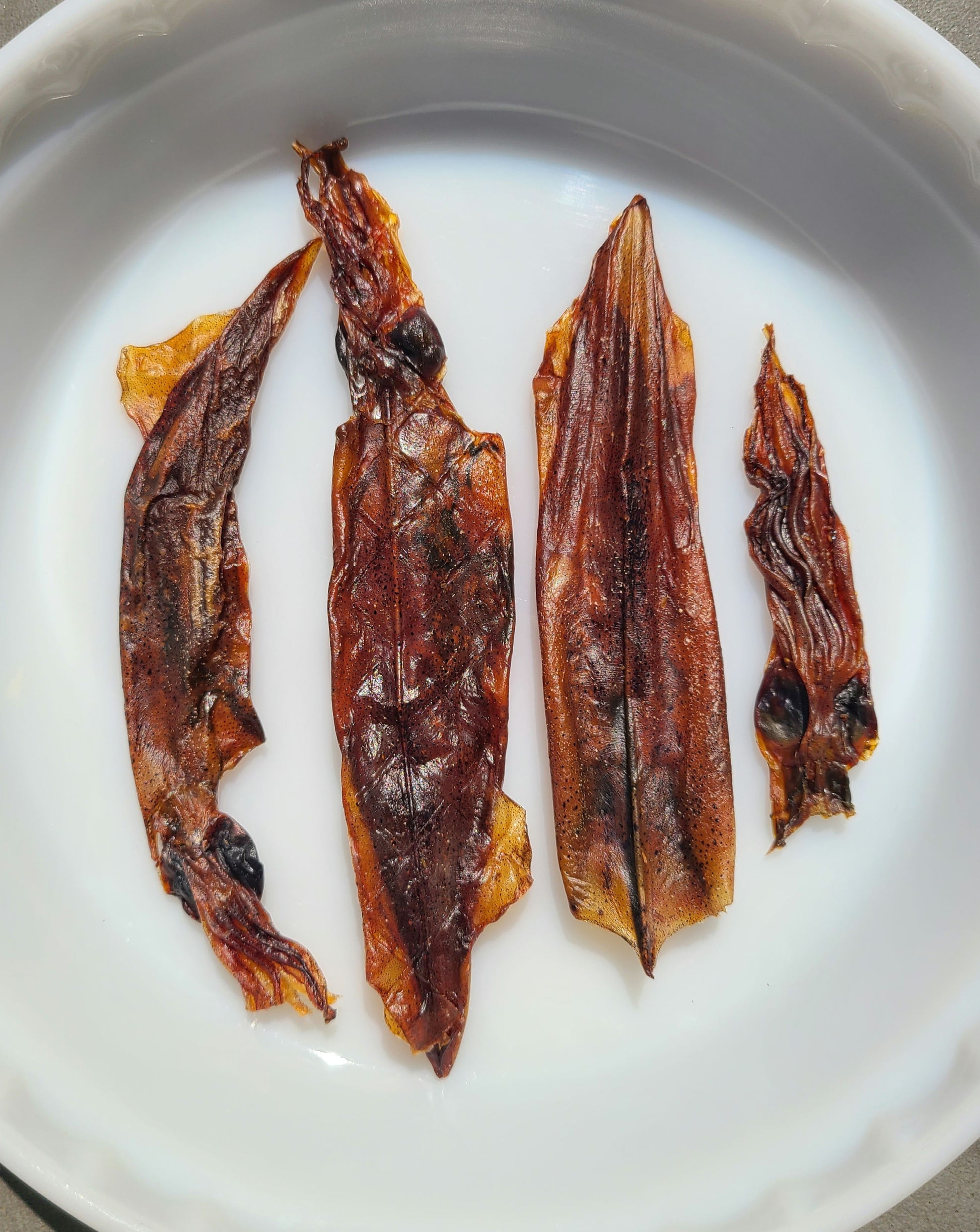 Wild Caught Squid image 3