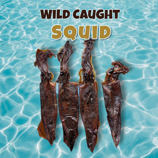 Wild Caught Squid image 0