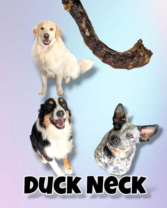 Duck Necks image 0