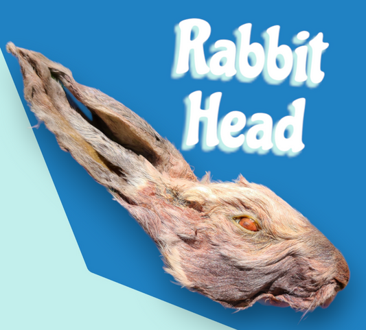 Rabbit Head image 0