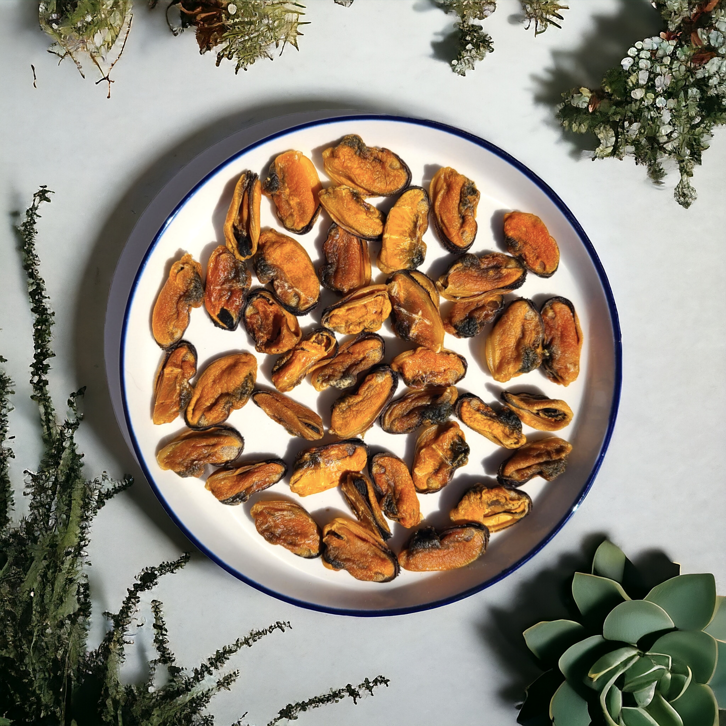 Chilean Mussels image 0