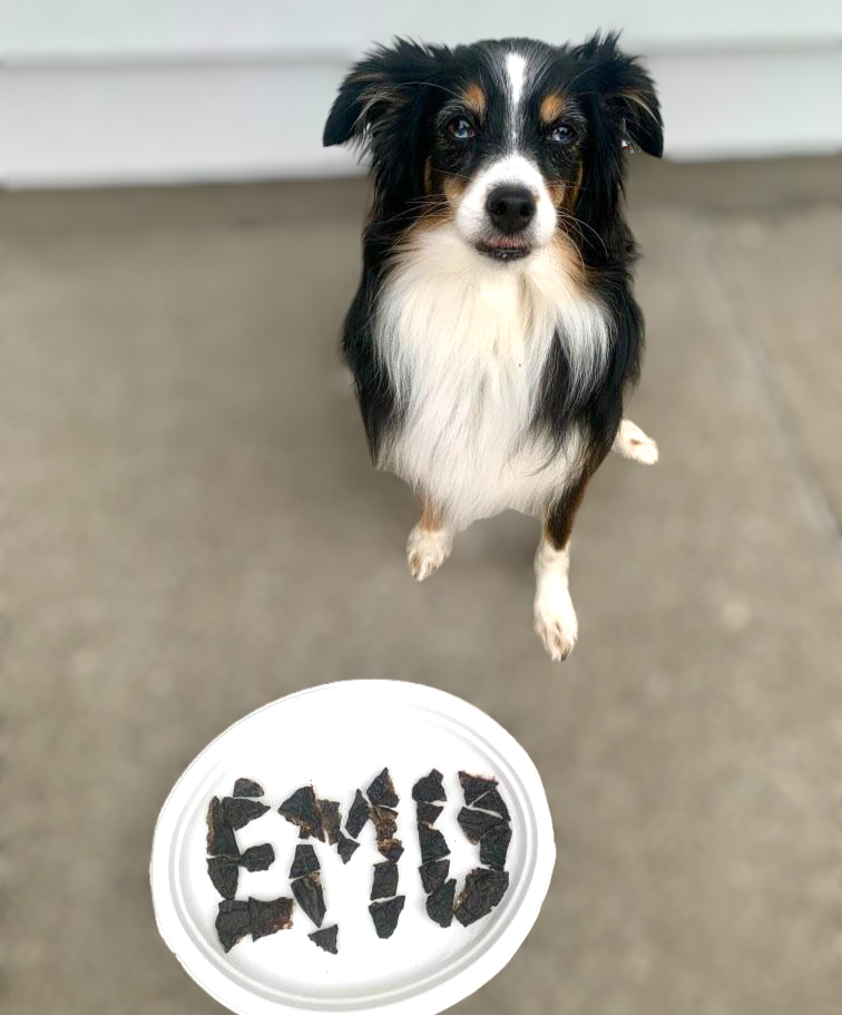 Emu Liver Chips image 1