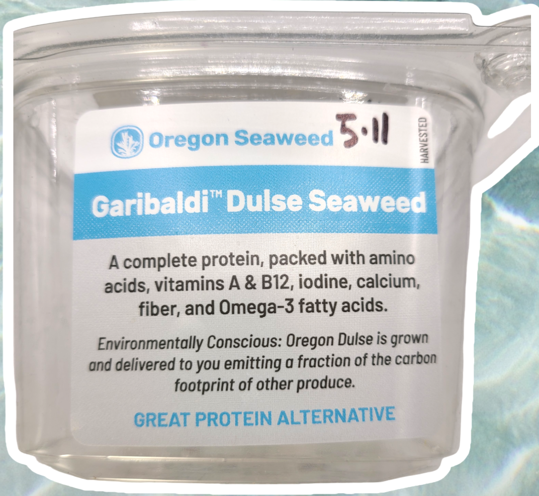 Oregon Ocean Delight image 3