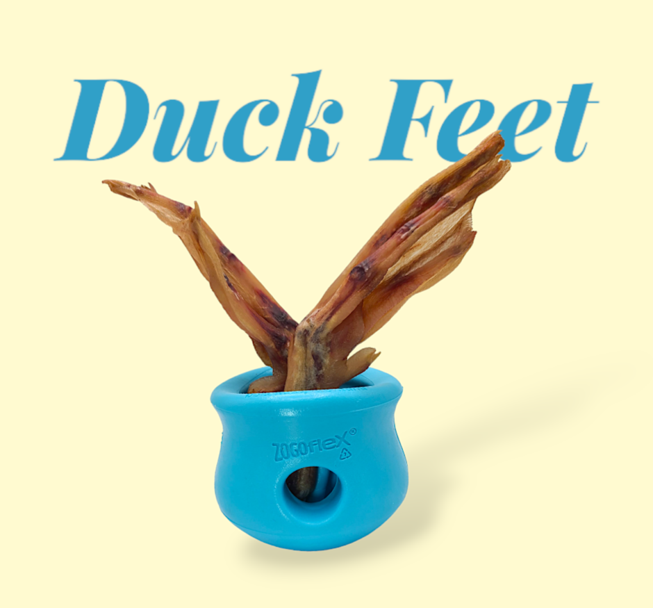 Duck Feet image 4