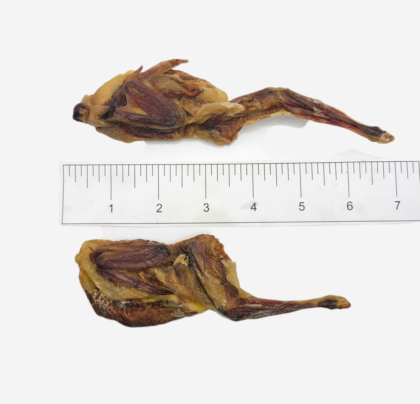 Quail Halves image 3