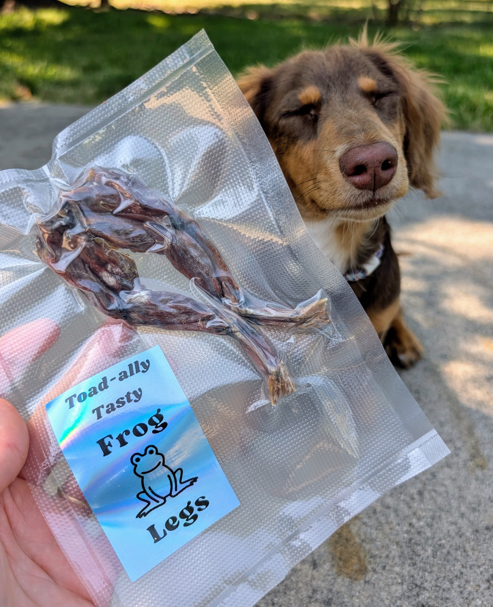 Frog 🐸 Legs image 2