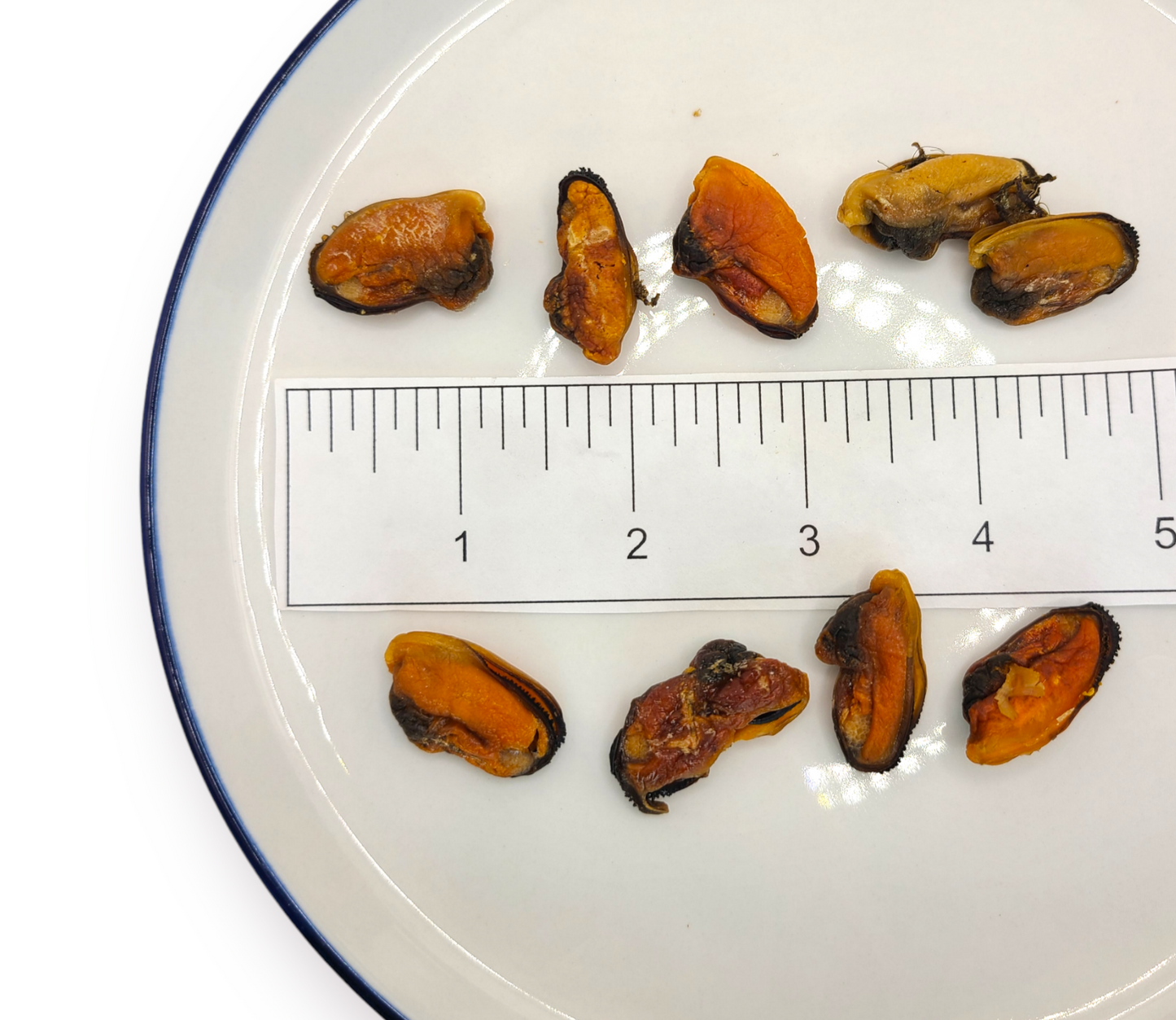 Chilean Mussels image 2