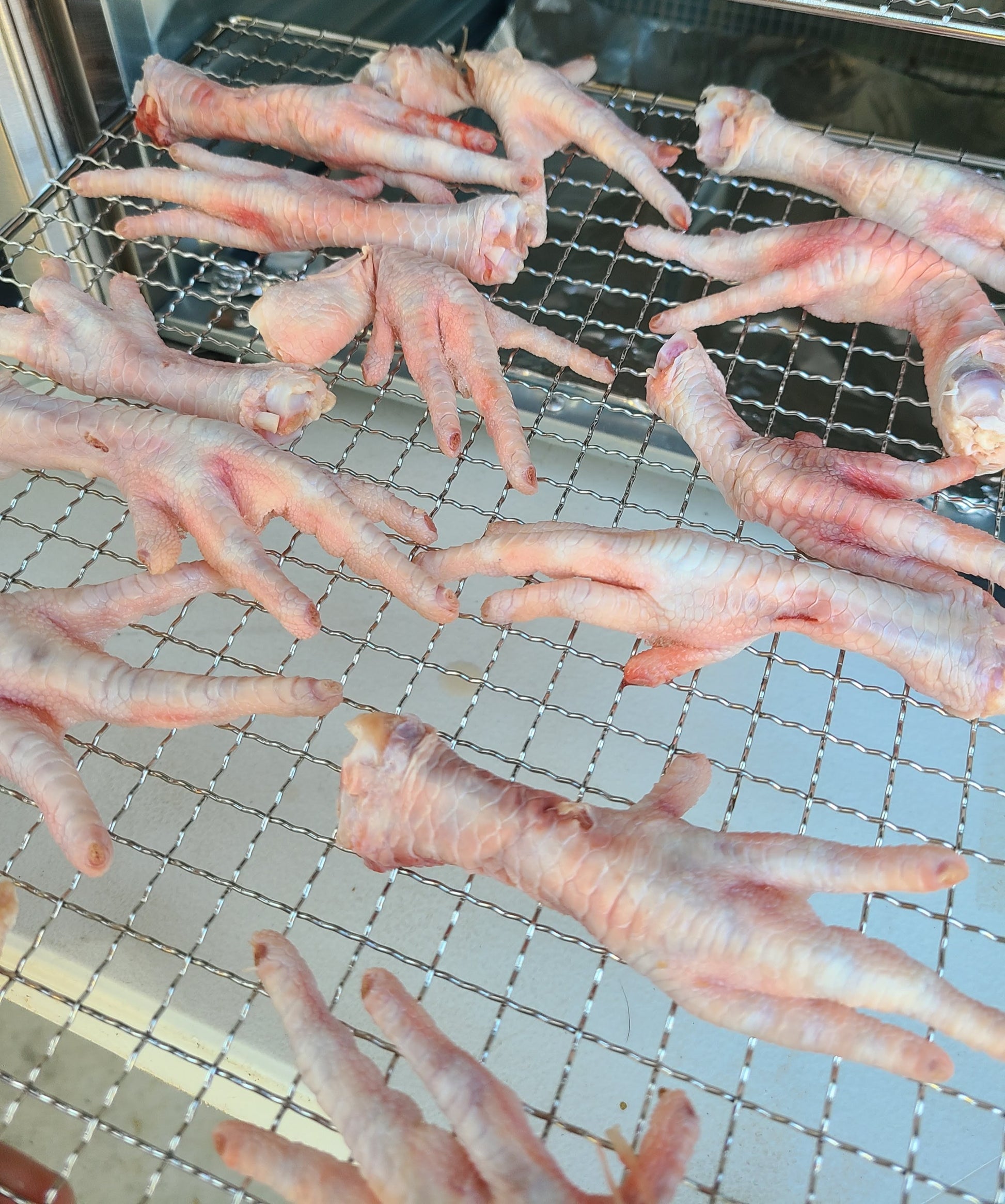 Chicken Feet image 2