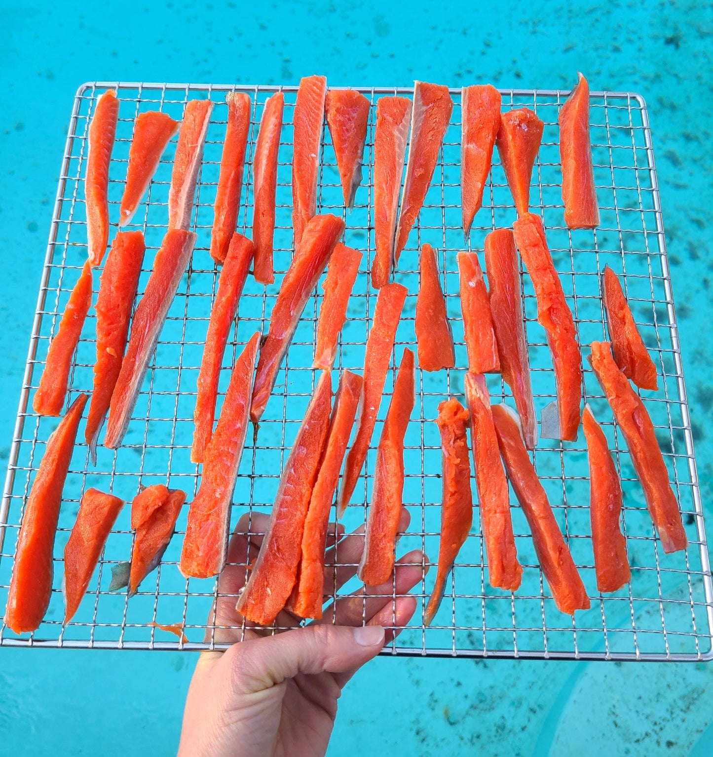 Salmon Bites image 4