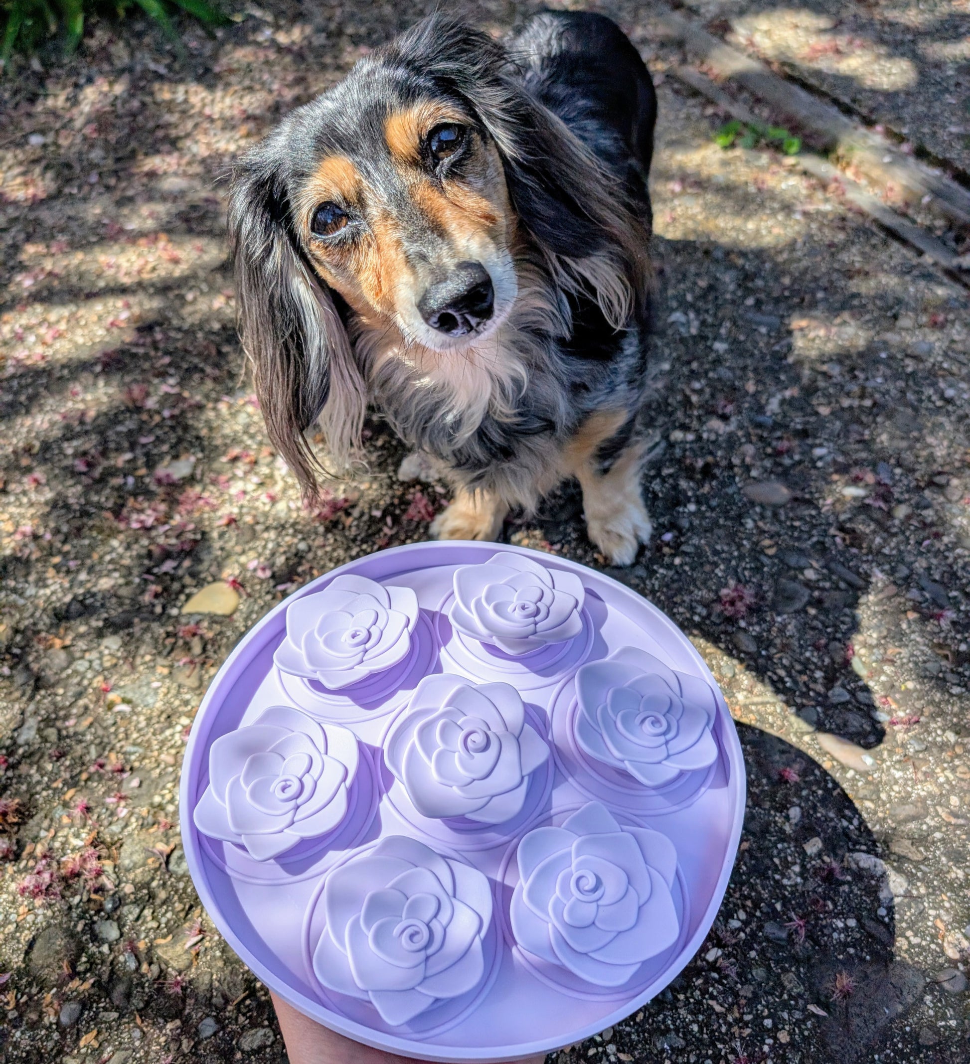 Snuffle Mat/Slow Feeder image 0