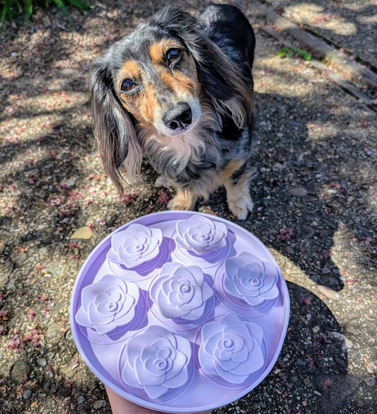 Snuffle Mat/Slow Feeder image 0