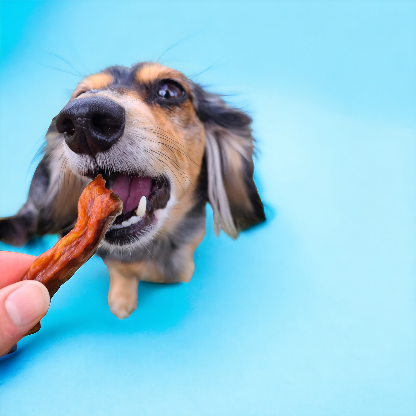 Salmon Bites image 3