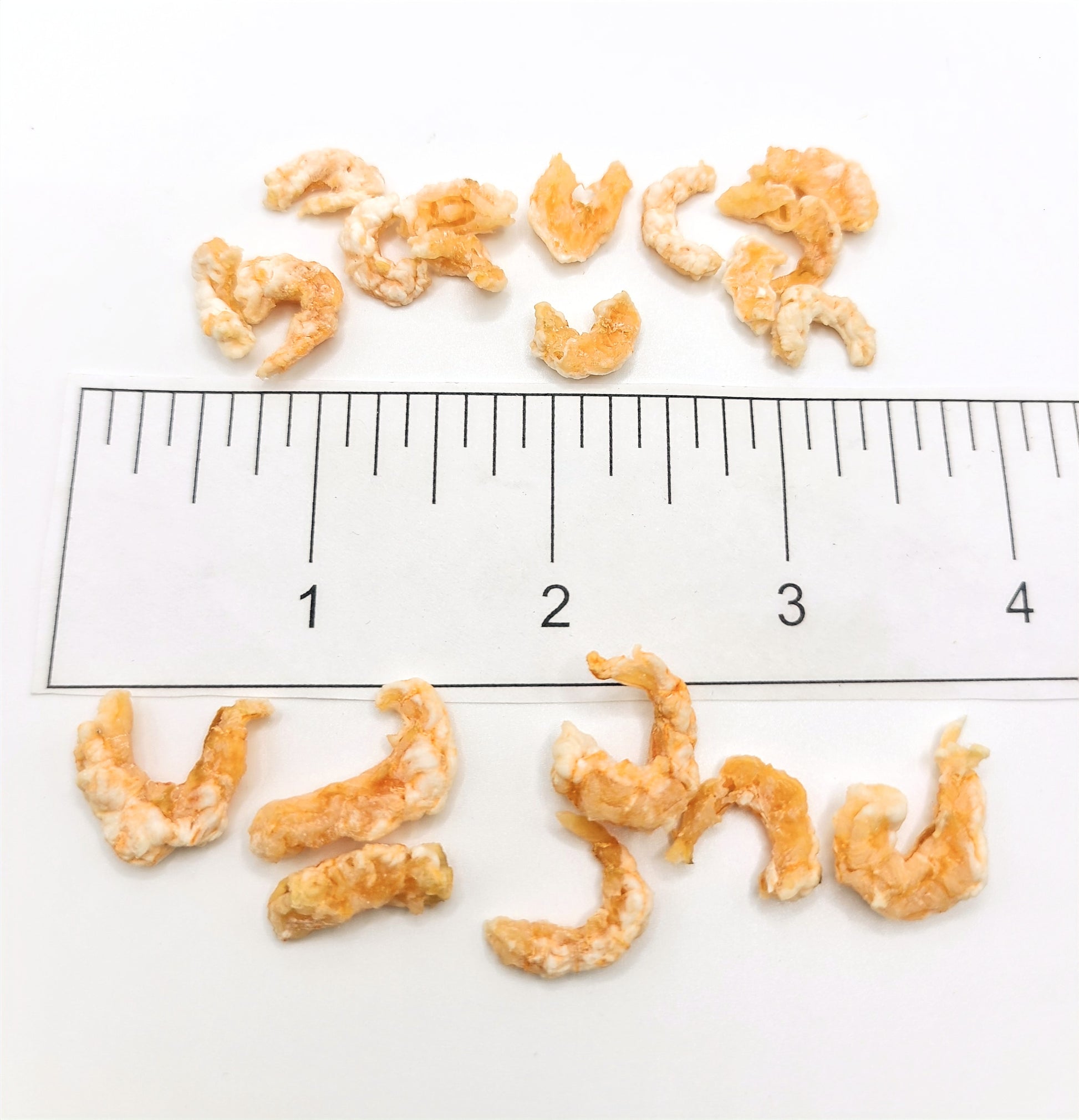 Oregon Ocean Delight image 2