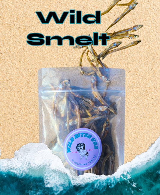 Wild Smelt image 0
