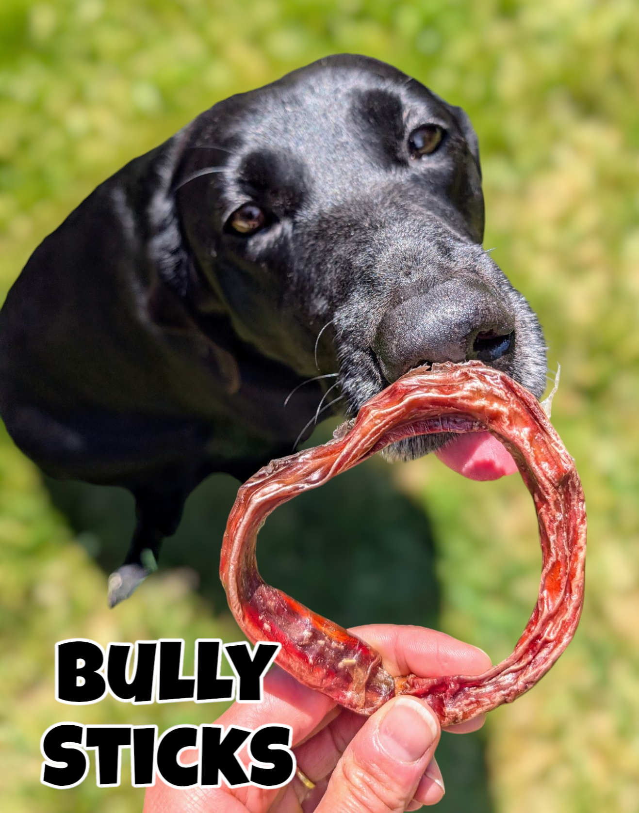 Bully Sticks image 0