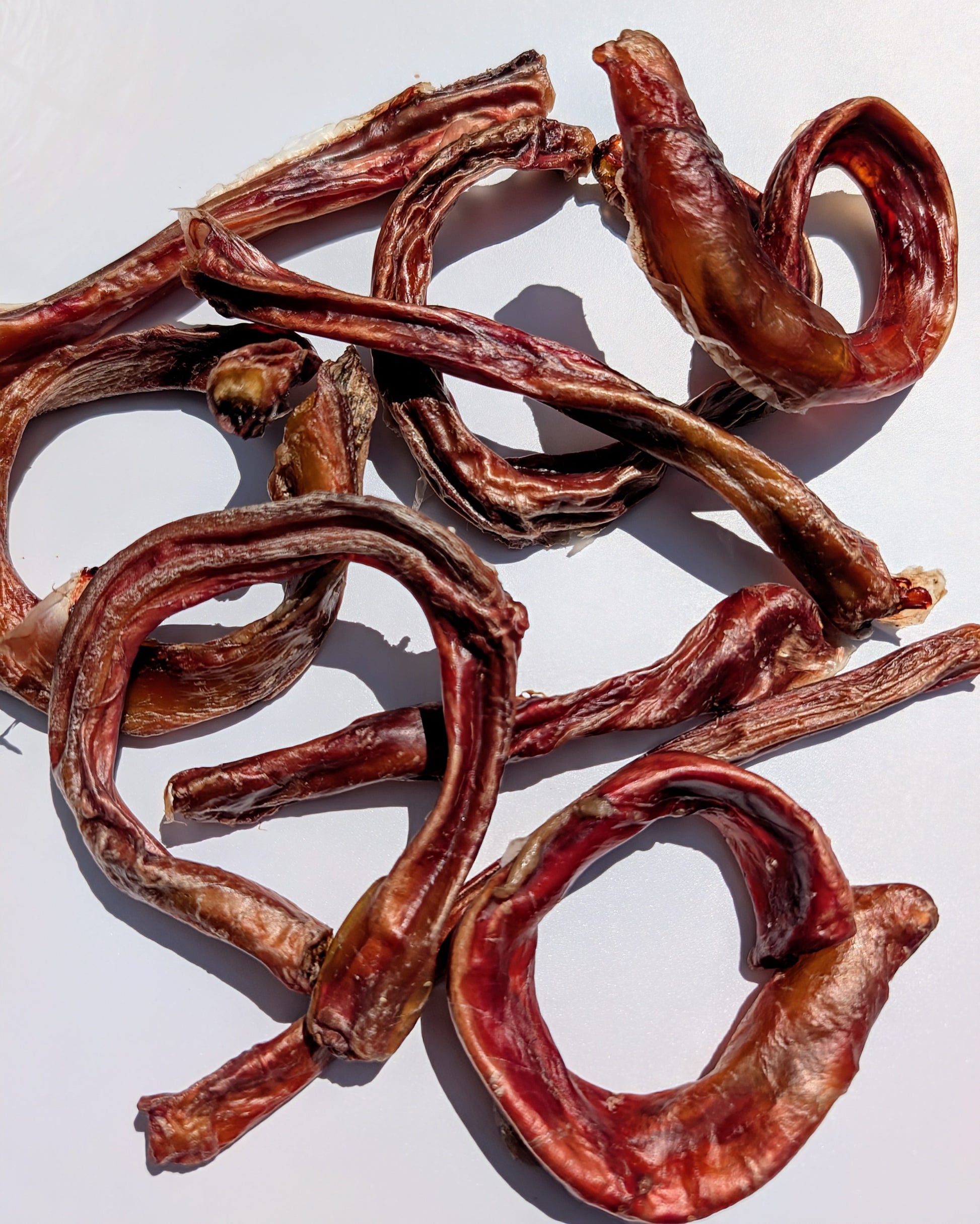 Bully Sticks image 1