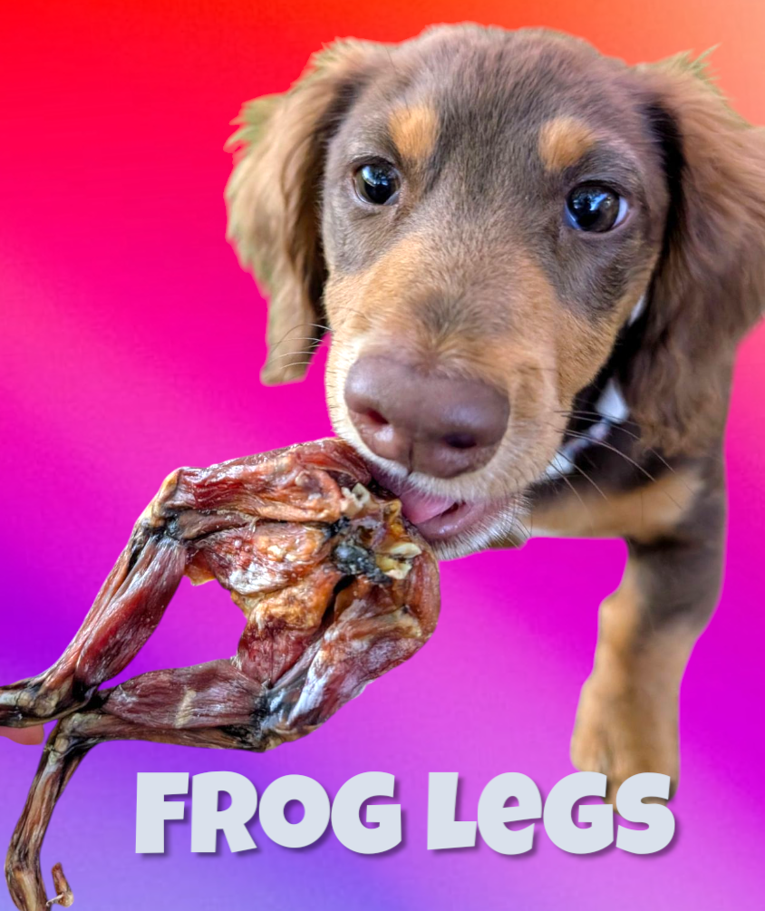 Frog 🐸 Legs image 0