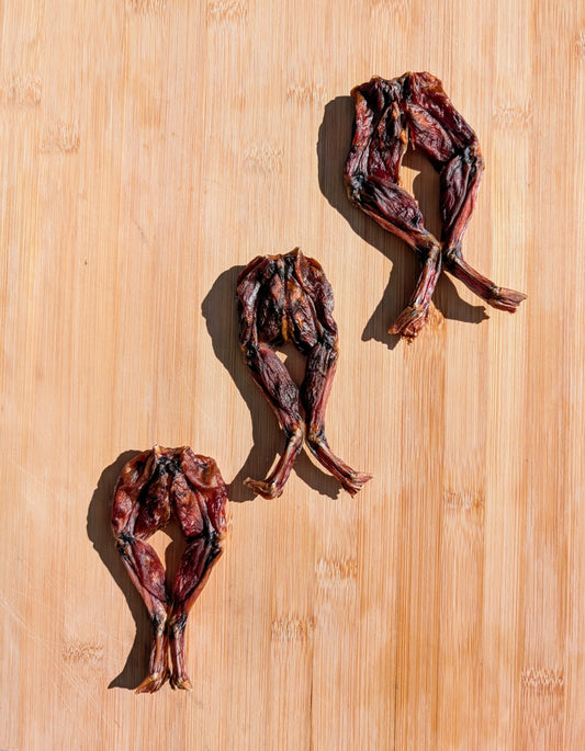 Frog 🐸 Legs image 1