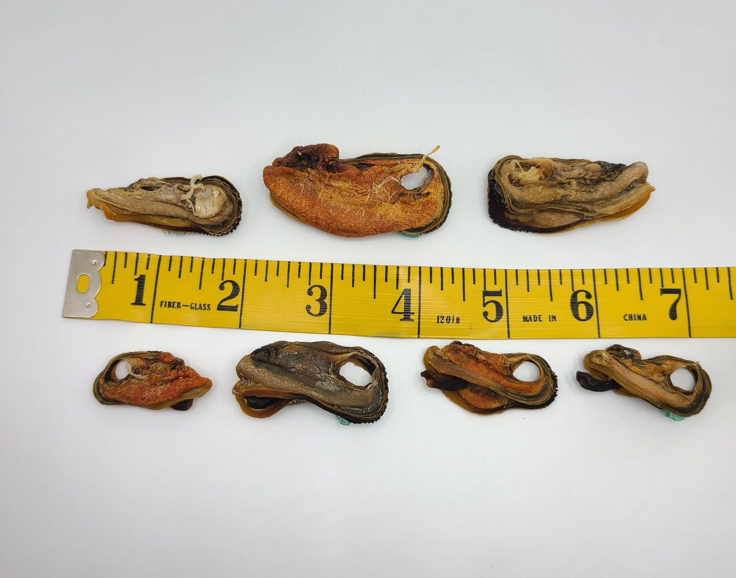 New Zealand Green Lipped Mussels image 3